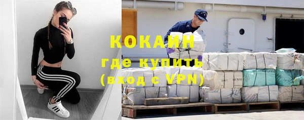 ALPHA PVP Каменка