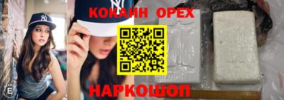 сатива Коммунар