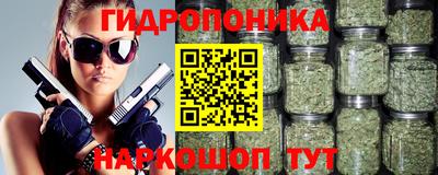 сатива Коммунар